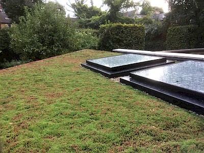 Living roof with skylights